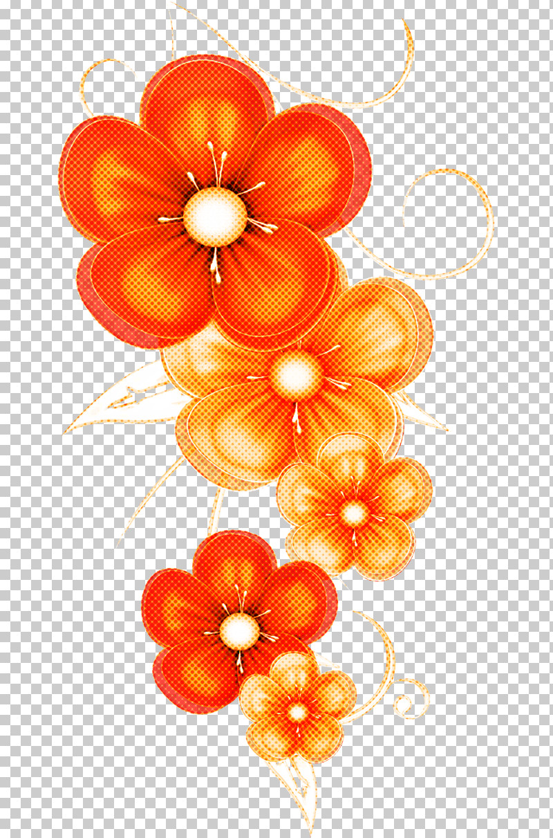 Orange PNG, Clipart, Cut Flowers, Flower, Orange, Petal, Plant Free PNG Download