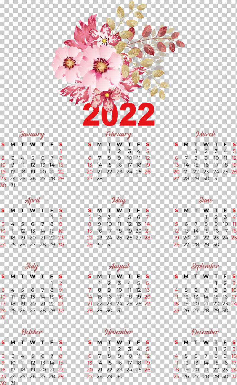 Flower Calendar Font Petal Meter PNG, Clipart, Biology, Calendar, Flower, Meter, Petal Free PNG Download
