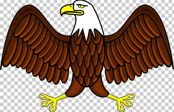 Bald Eagle PNG, Clipart, Accipitriformes, Animal Figure, Animals, Bald Eagle, Beak Free PNG Download