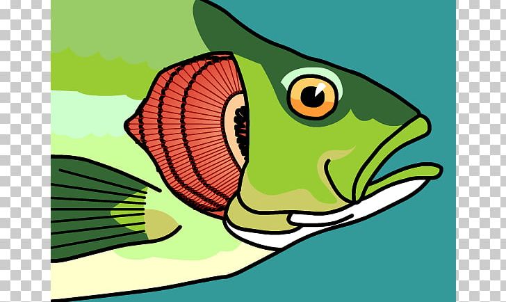 Fish Gill PNG, Clipart, Amphibian, Art, Beak, Bird, Branchial Arch Free PNG Download