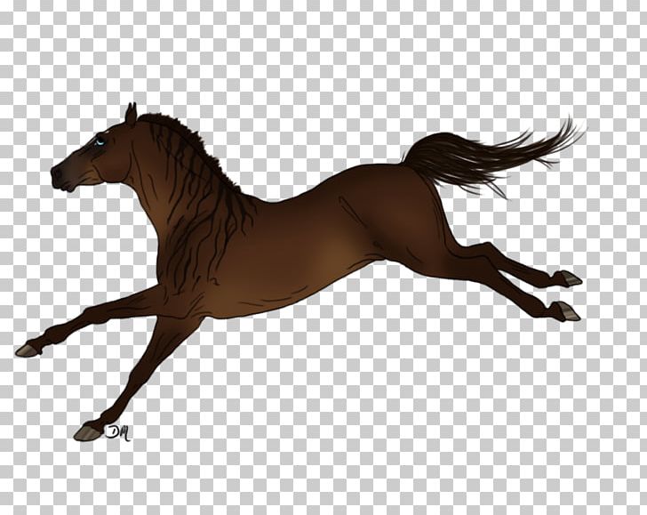 Mane Mustang Stallion Foal Colt PNG, Clipart, Bridle, Brown, Colt, Colts Manufacturing Company, English Riding Free PNG Download