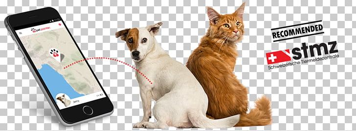 Stock Photography Dog Maine Coon PNG, Clipart, Animal Figure, Carnivoran, Cat, Catdog, Cats Dogs Free PNG Download