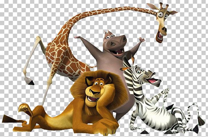 Kowalski Madagascar DreamWorks Animation Film PNG, Clipart, Animal Figure,  Animation, Big Cats, Carnivoran, Cat Like Mammal