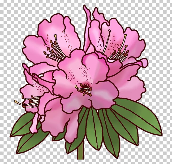 Rhododendron Subg. Hymenanthes Koka 滋賀県レクリエーション協会 Floral Design Rhododendron Brachycarpum F. Nemotoanum PNG, Clipart, Cut Flowers, Floral Design, Flower, Flower Arranging, Flowering Plant Free PNG Download