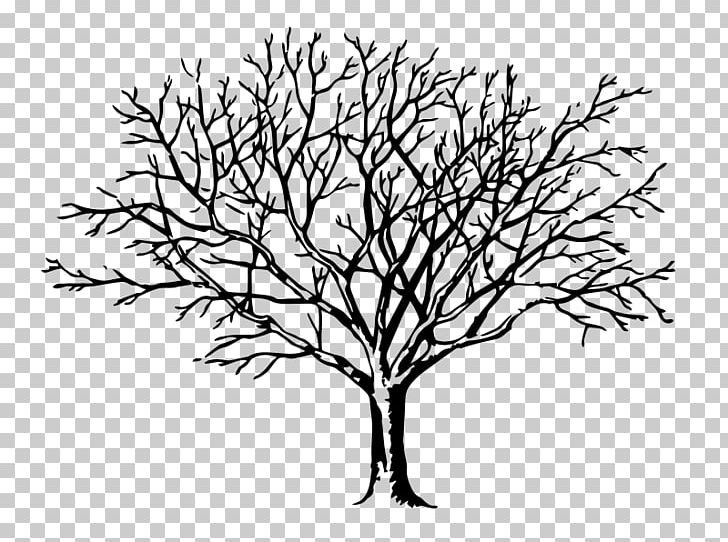 Drawing Tree PNG, Clipart, Arecaceae, Artwork, Black And White, Branch, Drawing Free PNG Download