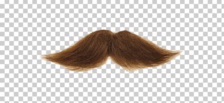 Mustache Brown PNG, Clipart, Mustaches, People Free PNG Download