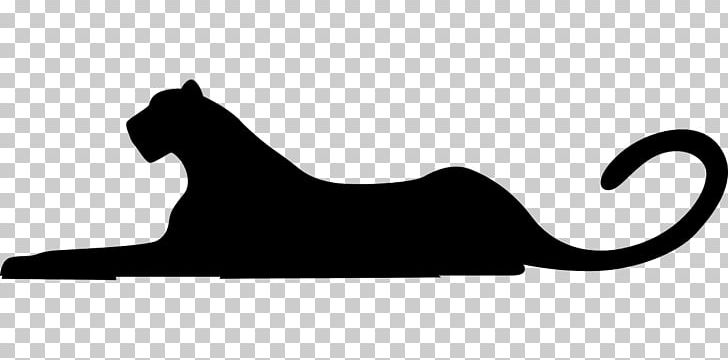 Wildcat Cougar Cheetah Lion PNG, Clipart, Animals, Big Cat, Black, Black And White, Canidae Free PNG Download