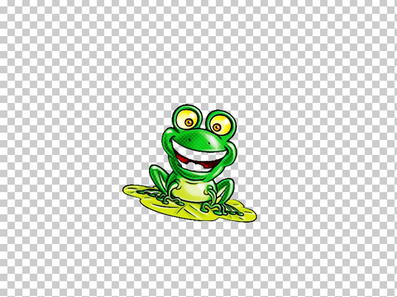 True Frog Tree Frog Frogs Toad Tadpole PNG, Clipart, American Bullfrog, Australian Green Tree Frog, Biology, Frogs, Life Free PNG Download