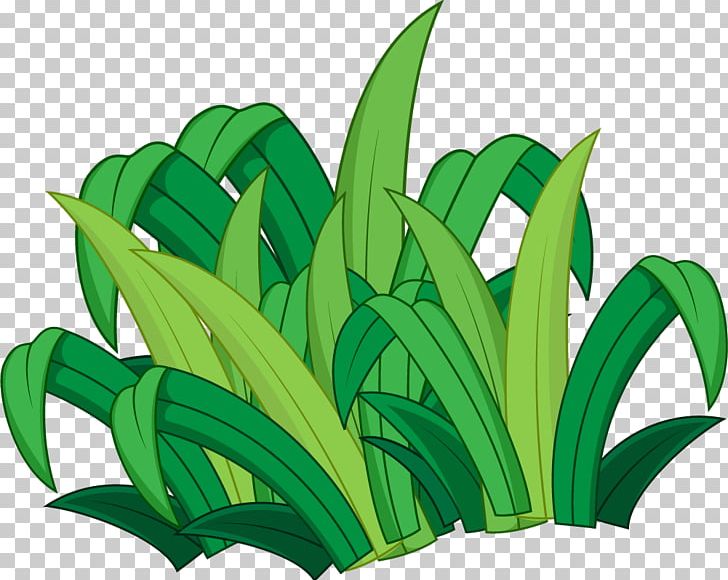 Green Grass Aquatic Plant PNG, Clipart, Aquatic, Aquatic Plants, Cartoon,  Cartoon Grass, Christmas Decoration Free PNG