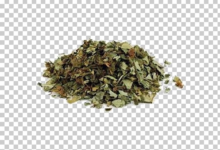 Lungworts Herb Hoodoo Hyssop Liquorice PNG, Clipart, Allspice, Bancha, Cowslip, Herb, Hojicha Free PNG Download