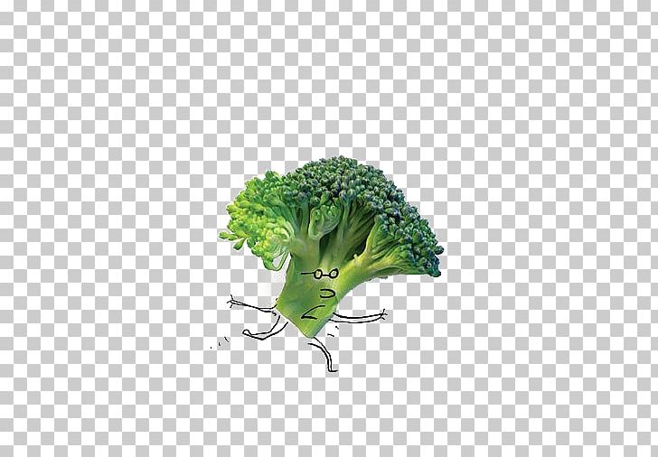 Food Salad Vegetable Broccoli PNG, Clipart, Boy Cartoon, Broccoli, Buckle, Cartoon, Cartoon Free PNG Download