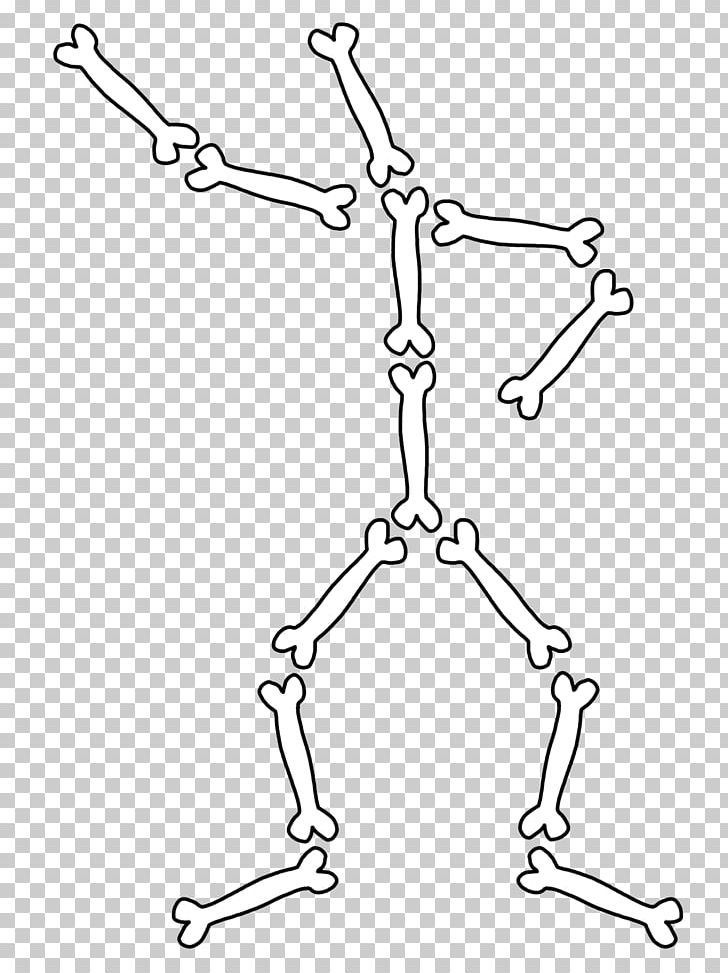 The Human Skeleton Bone Anatomy Human Body PNG, Clipart, Anatomy, Angle, Area, Arm, Auto Part Free PNG Download