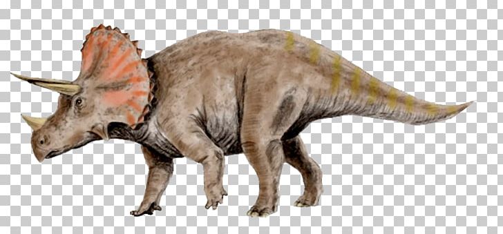 Triceratops Tyrannosaurus Pachyrhinosaurus Utahceratops Torosaurus PNG, Clipart, Animal Figure, Art, Ceratopsidae, Claw, Dinosaur Free PNG Download