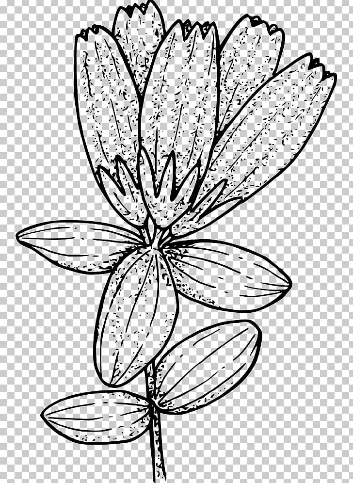 Tundra Arctic Biome Flora Plant PNG, Clipart, Arctic, Arctic Vegetation, Artwork, Biome, Black And White Free PNG Download