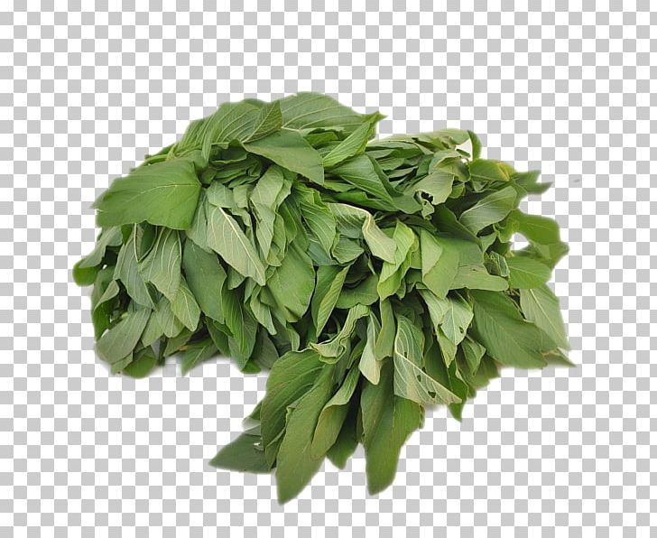 Basil Spinach Organic Food Vegetable PNG, Clipart, Basil, Bell Pepper, Broccoli, Bunch, Food Free PNG Download