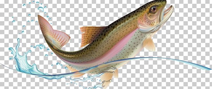 Rainbow Trout Stock Photography PNG, Clipart, Animal Figure, Bony Fish, Brook Trout, Cod, Creative Market Free PNG Download