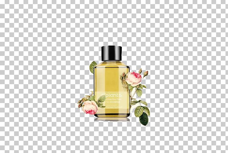 Toner Roman Chamomile Perfume Moisturizer PNG, Clipart, Alibaba Group, Chamomile, Cosmetics, Essential Oil, Face Powder Free PNG Download
