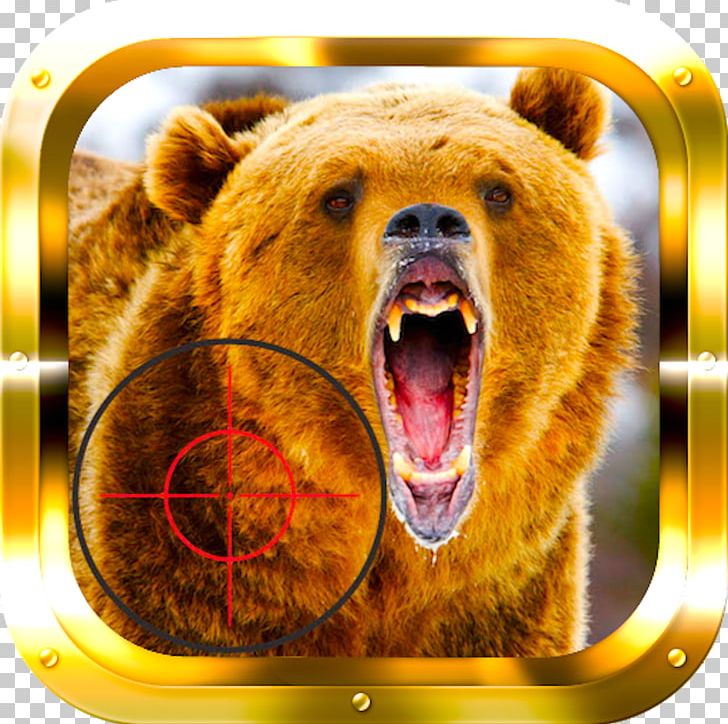 American Black Bear Brown Bear Bear Attack Grizzly Bear PNG, Clipart, Animals, Banff National Park, Bear, Bear Attack, Brown Bear Free PNG Download