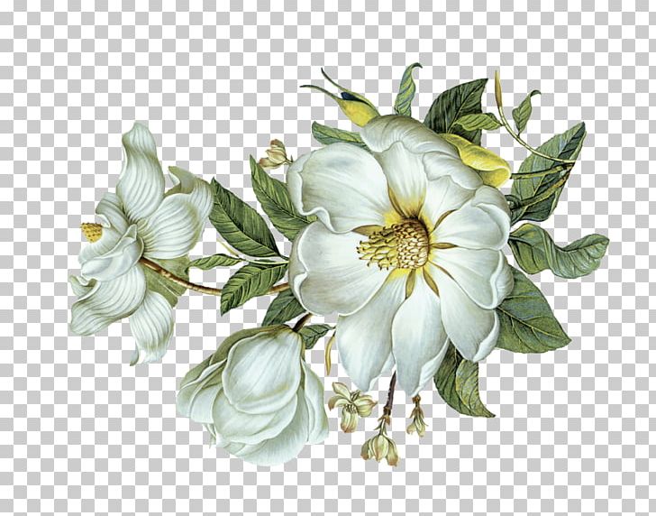 Flower Green Leaf Light PNG, Clipart, Artificial Flower, Cut Flowers, Encapsulated Postscript, Euclidean Vector, Fleur Blanche Free PNG Download
