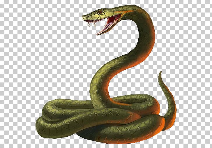Snake King Cobra PNG, Clipart, Animalphotography, Animals, Boa Constrictor, Boas, Cartoon Free PNG Download