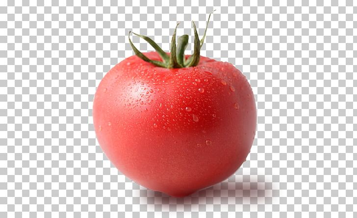 Tomato Food Hot Dog リノ Potato PNG, Clipart, Apple, Bush Tomato, Diet Food, Eggplant, Food Free PNG Download