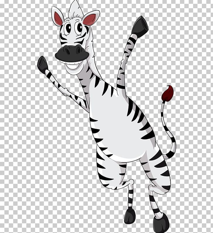 Zebra Photography PNG, Clipart, Animal, Animal Figure, Animals, Black And White, Carnivoran Free PNG Download