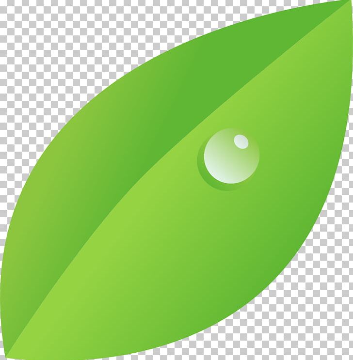 Drawing Drop Dew Leaf PNG, Clipart, Angle, Circle, Dew, Drawing, Drop Free PNG Download