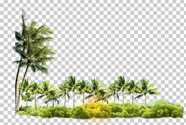 Tree Coconut Arecaceae Icon PNG, Clipart, Adobe Illustrator, Arecaceae, Christmas Tree, Coconut, Coconut Tree Free PNG Download