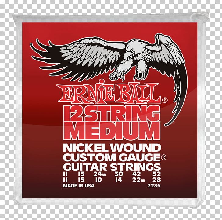 Twelve-string Guitar Electric Guitar Bass Guitar Musician PNG, Clipart,  Free PNG Download