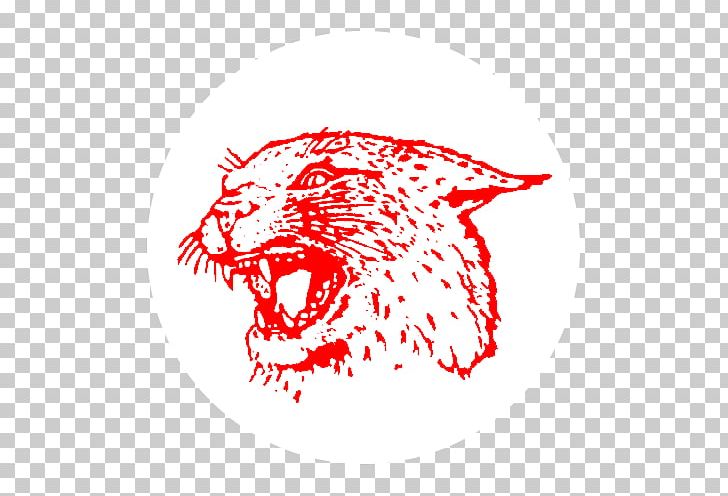 Upper Perkiomen High School Whiskers Cleveland Indians School District Boyertown PNG, Clipart, American Football, Athletics, Black, Carnivoran, Cat Like Mammal Free PNG Download