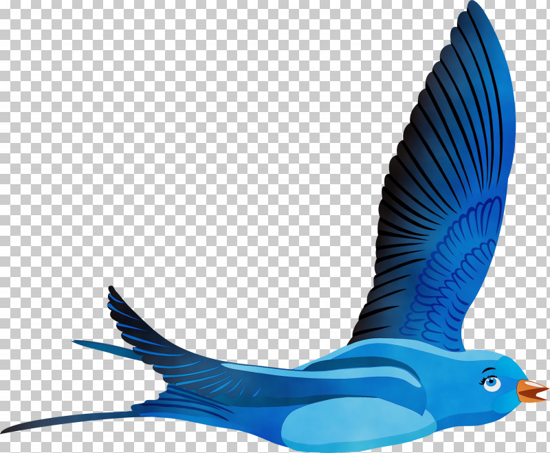 Feather PNG, Clipart, Animal Figure, Beak, Bird, Blue, Feather Free PNG Download