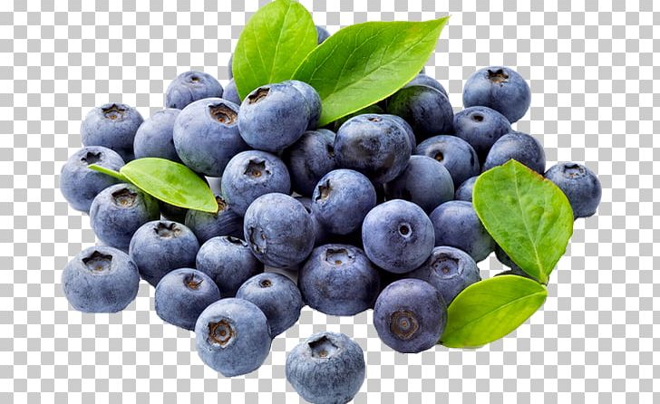 Blueberry Food Antioxidant Flavor PNG, Clipart, Antioxidant, Aristotelia Chilensis, Berry, Bilberry, Blueberry Free PNG Download