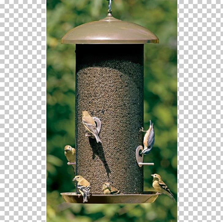 Finch Bird Feeders Hummingbird Squirrel PNG, Clipart, American Goldfinch, Animals, Bird, Bird Baths, Bird Feeder Free PNG Download