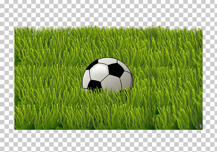 Football Serie C Sporting Goods PNG, Clipart, Ball, Field, Football, Goalkeeper, Grass Free PNG Download