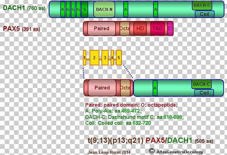 Line Font PNG, Clipart, Amino Acids, Anomaly, Area, Art, Dach Free PNG Download