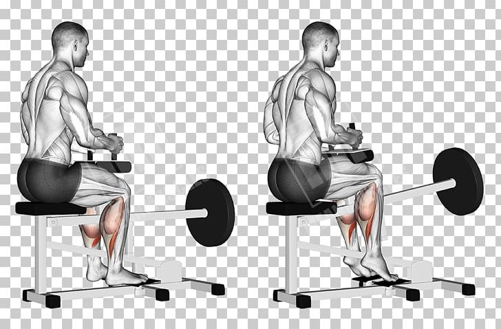 Calf Raises Gastrocnemius Muscle Soleus Muscle PNG, Clipart, Angle, Arm, Exercise, Fitness Professional, Gym Free PNG Download