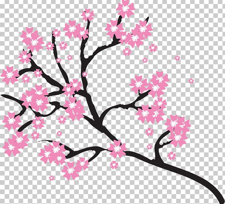 Cherry Blossom Drawing PNG, Clipart, Blossom, Branch, Cherry, Cherry Blossom, Drawing Free PNG Download