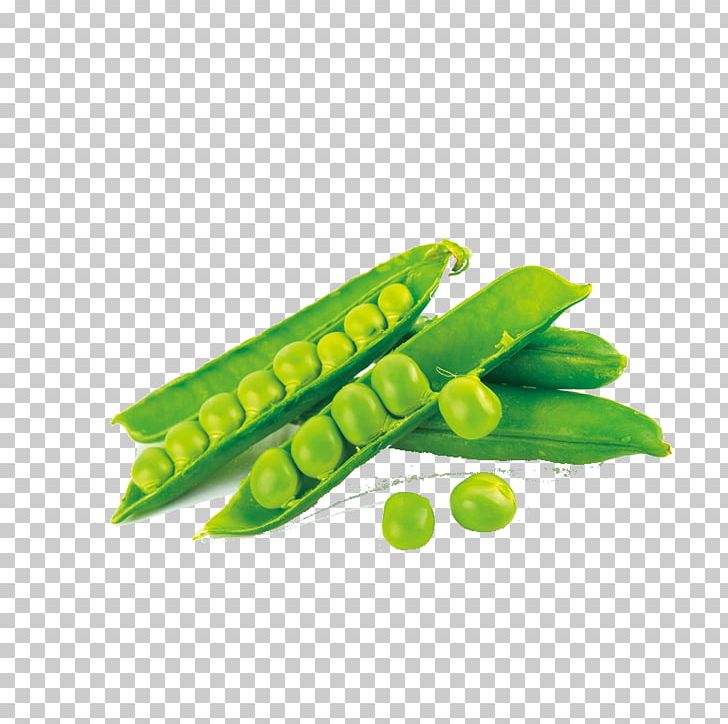 Snap Pea Protein Bean PNG, Clipart, Bean, Beans, Butterfly Pea, Butterfly Pea Flower, Cartoon Free PNG Download