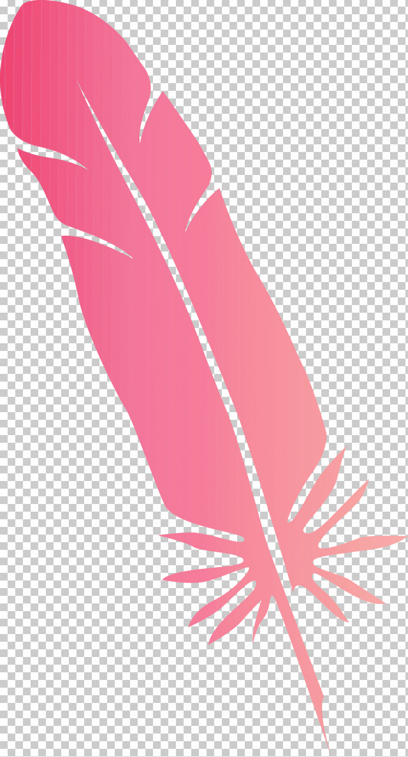Feather PNG, Clipart, Feather, Hm, Line, Meter, Paint Free PNG Download