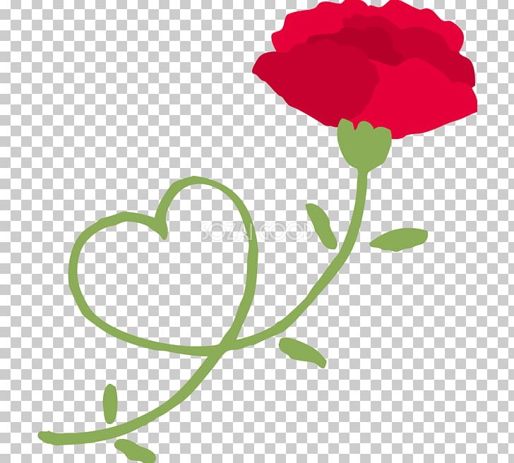 Carnation Illustration Garden Roses Floral Design PNG, Clipart,  Free PNG Download