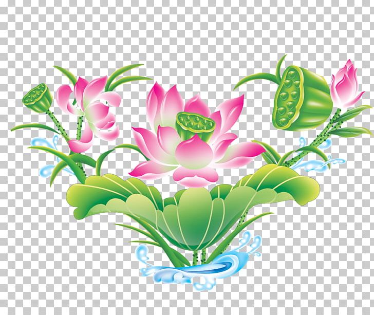 Nelumbo Nucifera Cartoon PNG, Clipart, Cut Flowers, Flora, Floral Design, Floris, Flower Free PNG Download