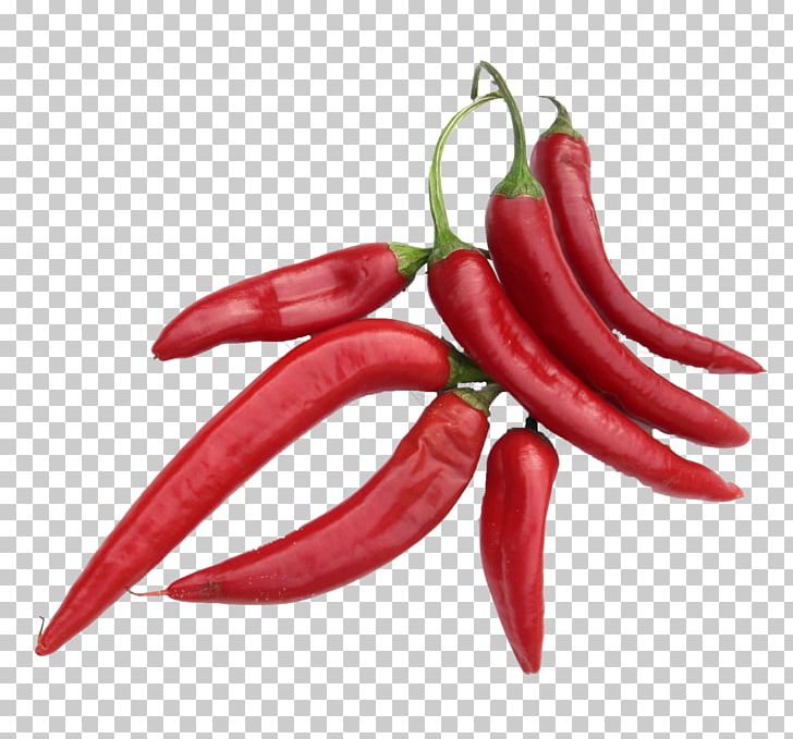 Chili Pepper Cayenne Pepper Tabasco Pepper Peperoncino Spice PNG, Clipart,  Free PNG Download