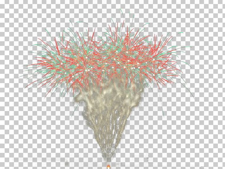 Computer PNG, Clipart, Branch, Cartoon Fireworks, Computer, Computer Wallpaper, Festival Free PNG Download