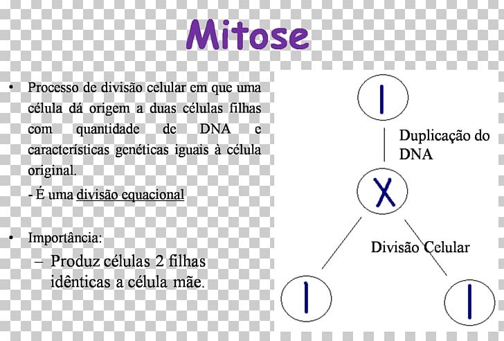 MSP Batna Document Text Computer Program PNG, Clipart, Angle, Area, Blue, Brand, Circle Free PNG Download