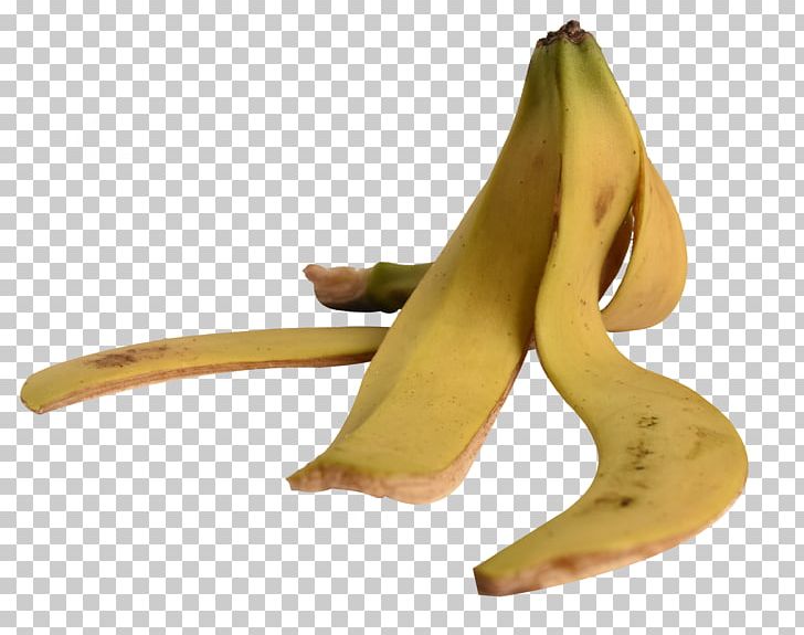 Banana Peel Fruit PNG, Clipart, Banana, Banana Chips, Banana Family, Banana Leaf, Banana Leaves Free PNG Download