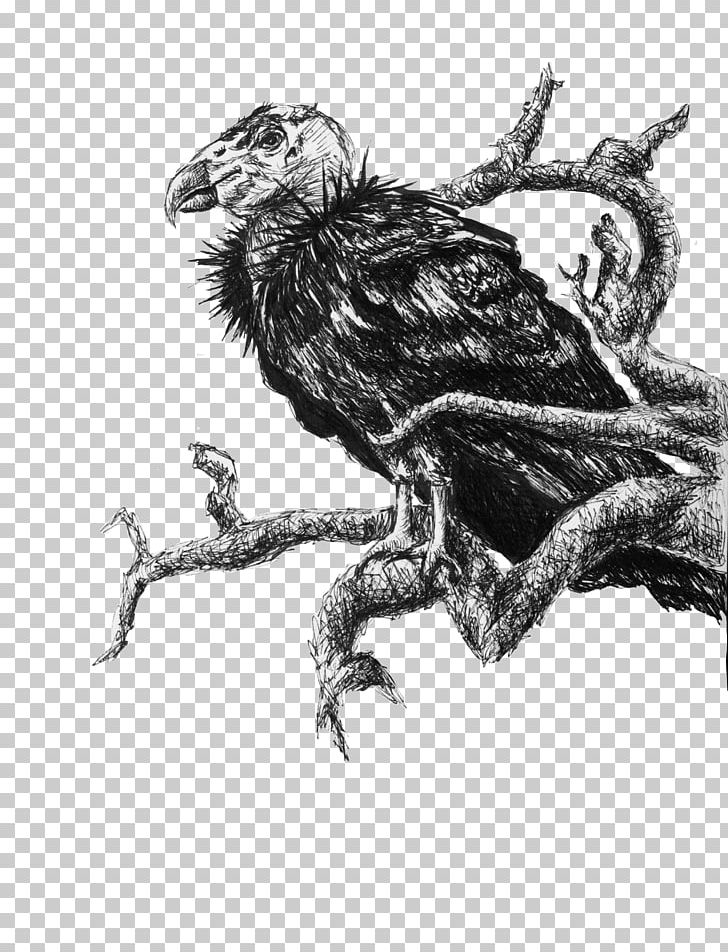 Bird California Condor Andean Condor /m/02csf PNG, Clipart, Animals, Bird, Condor, Dragon, Fauna Free PNG Download