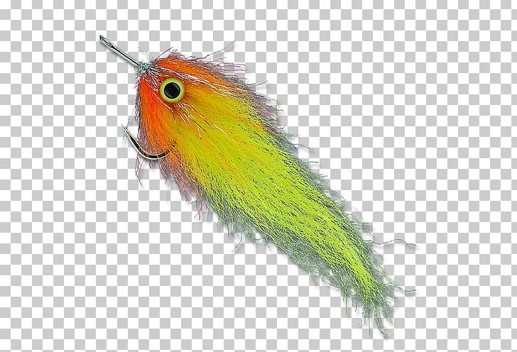 Bird Parrot Beak Feather Wing PNG, Clipart, Animal, Animals, Beak, Bird, Feather Free PNG Download