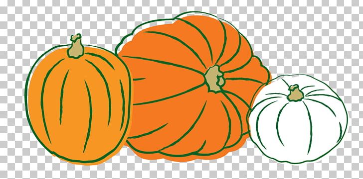Pumpkin Calabaza Gourd Winter Squash PNG, Clipart, Apple, Calabaza, Citrus, Commodity, Cucumber Gourd And Melon Family Free PNG Download