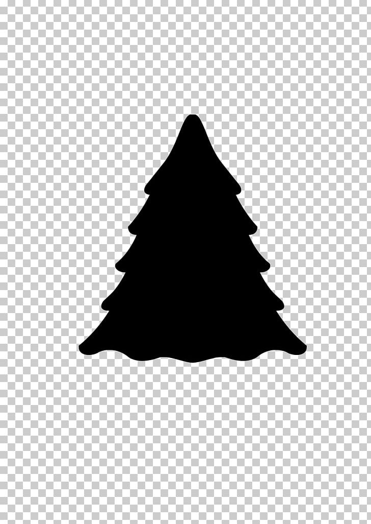 Evergreen Tree Pine Norway Spruce Fir PNG, Clipart, Black, Black And White, Bonsai, Cedar, Conifers Free PNG Download