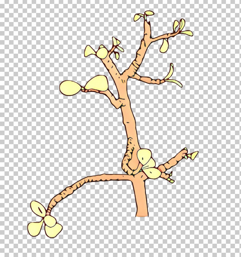 Branch Tree Plant Plant Stem Twig PNG, Clipart, Branch, Houseplant, Plant, Plant Stem, Tree Free PNG Download